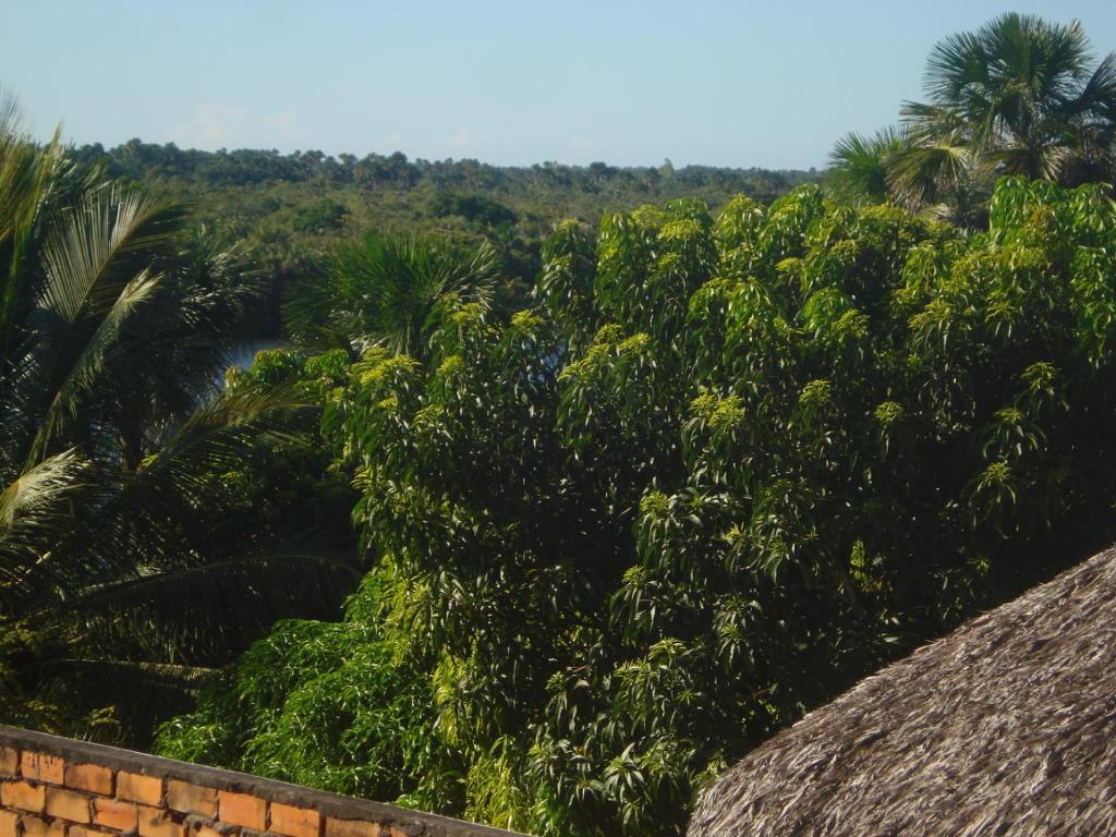 Cama, Cafe E Aventura Hotel Barreirinhas Bagian luar foto